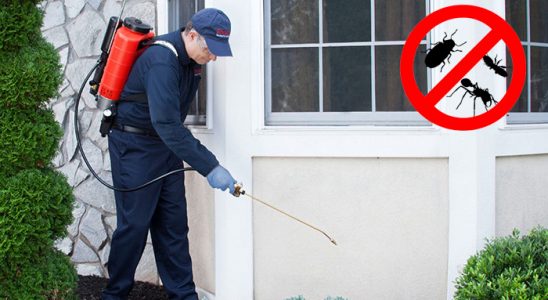 Bartın Akrep İlaçlama böcek ilaçlama ve haşere kontrolü — ilaclama-tr.com